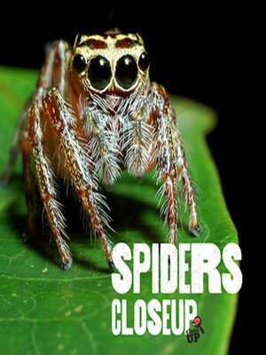 cover image of Spiders CloseUp
